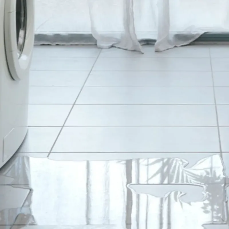 Appliance Leak Cleanup in Southside, AR