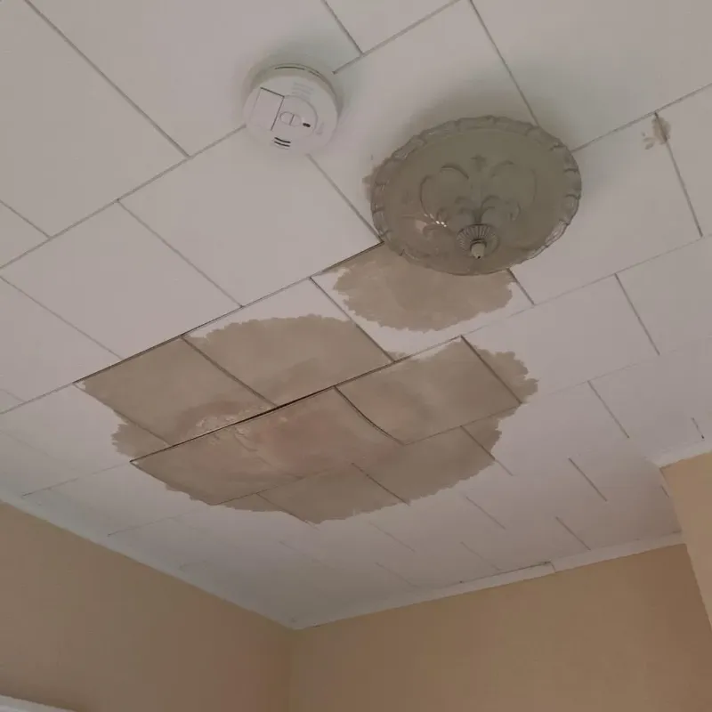 Ceiling Water Damage Repair in Southside, AR