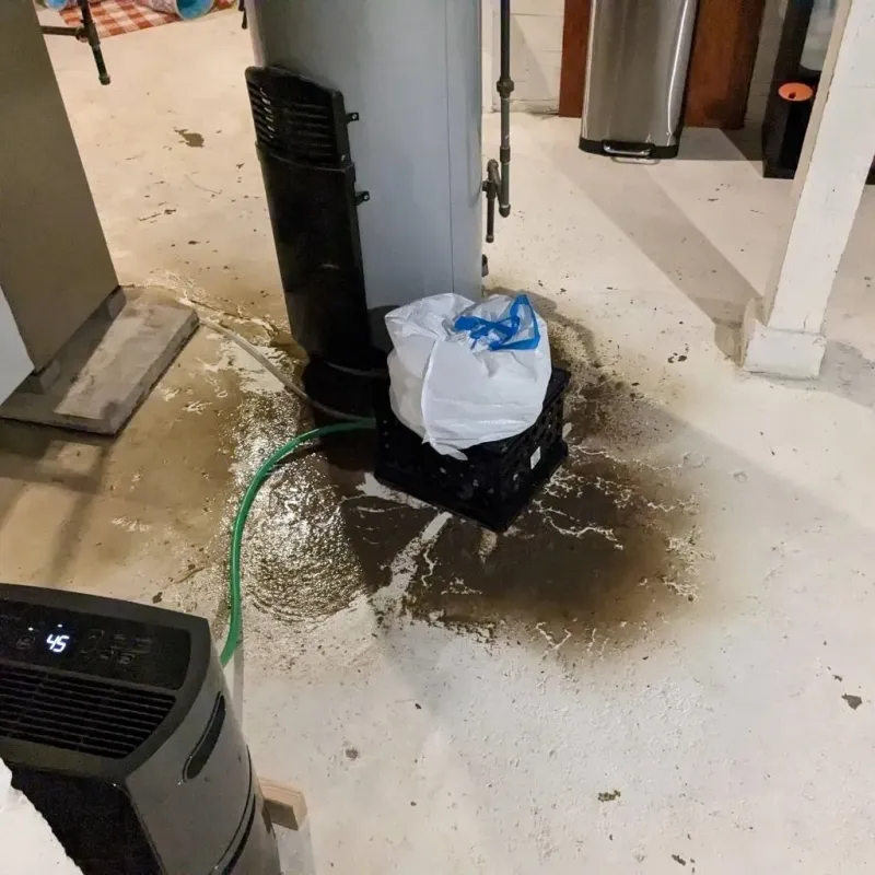 Sewage Backup Cleanup Service in Southside, AR